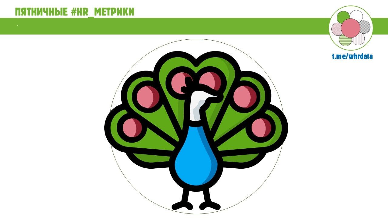 Пятничные HR-метрики image preview