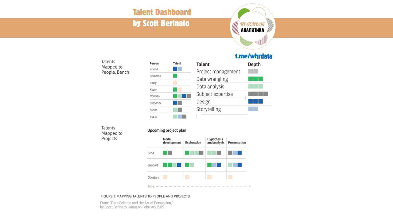 Talent dashboard визуализация навыков image preview