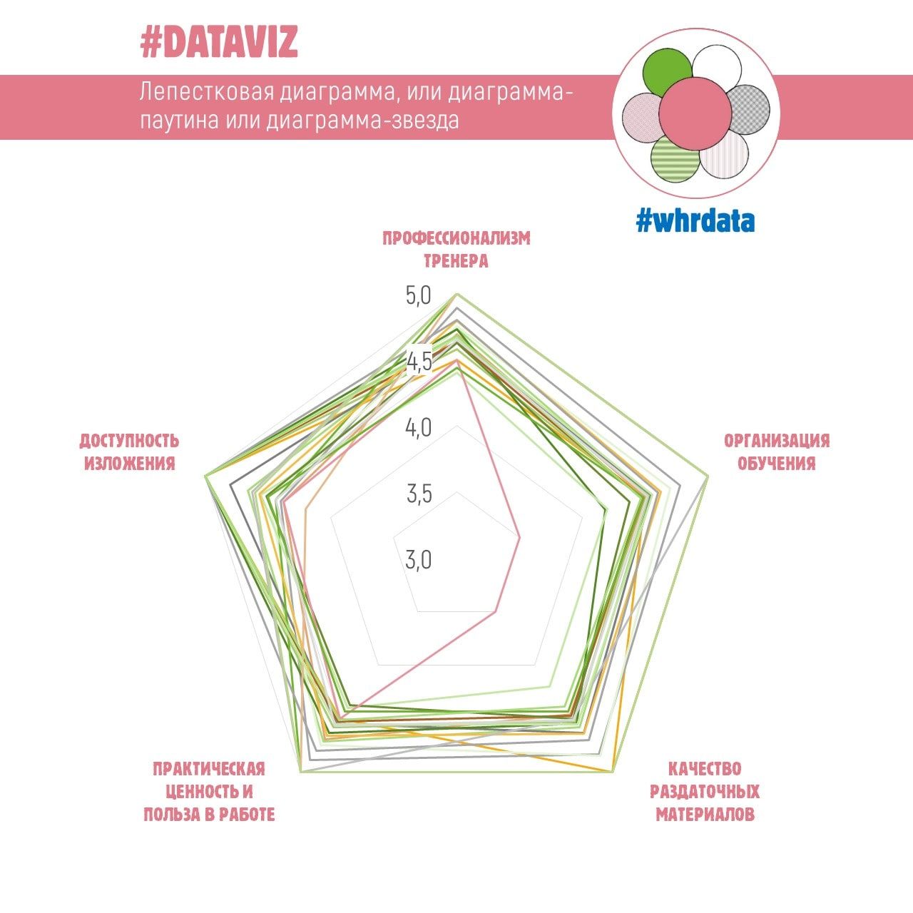 Лепестковая диаграмма (паутинка) в HR аналитике image preview
