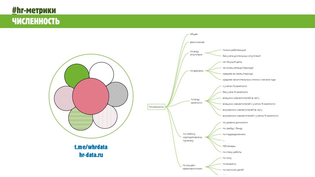 #hr_метрики численность персонала image preview