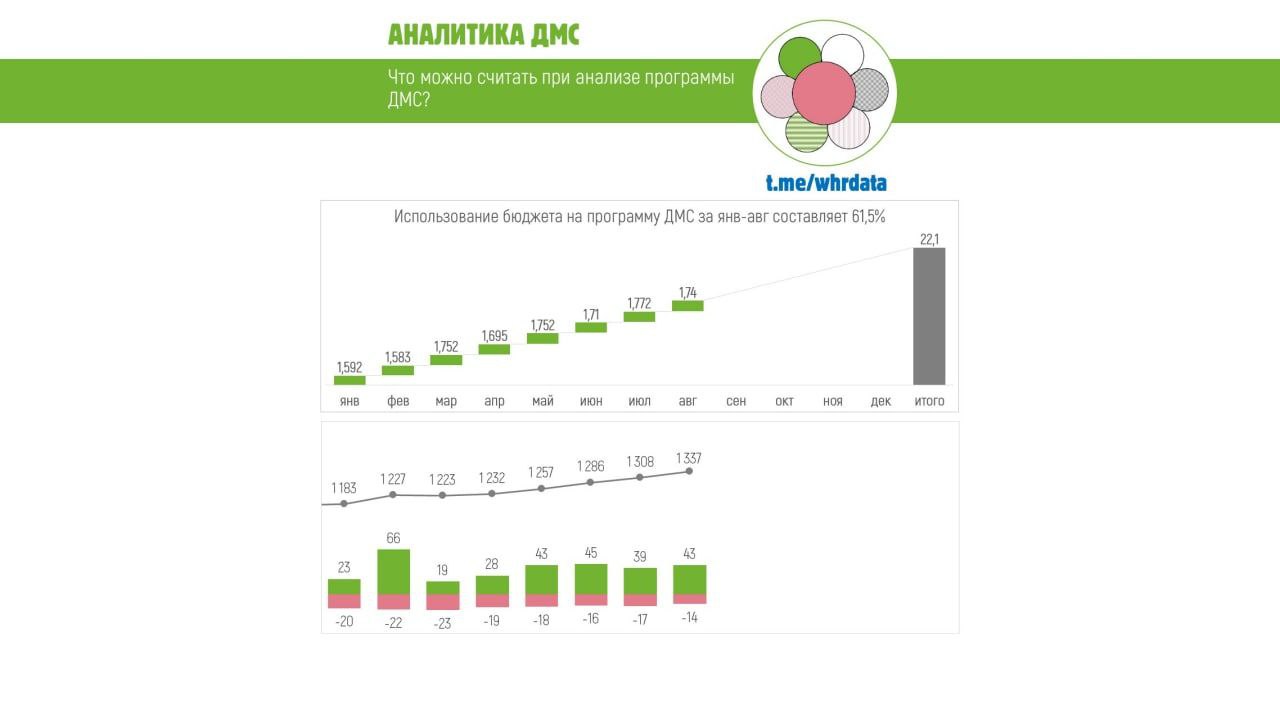 Анализ бюджета ДМС image preview