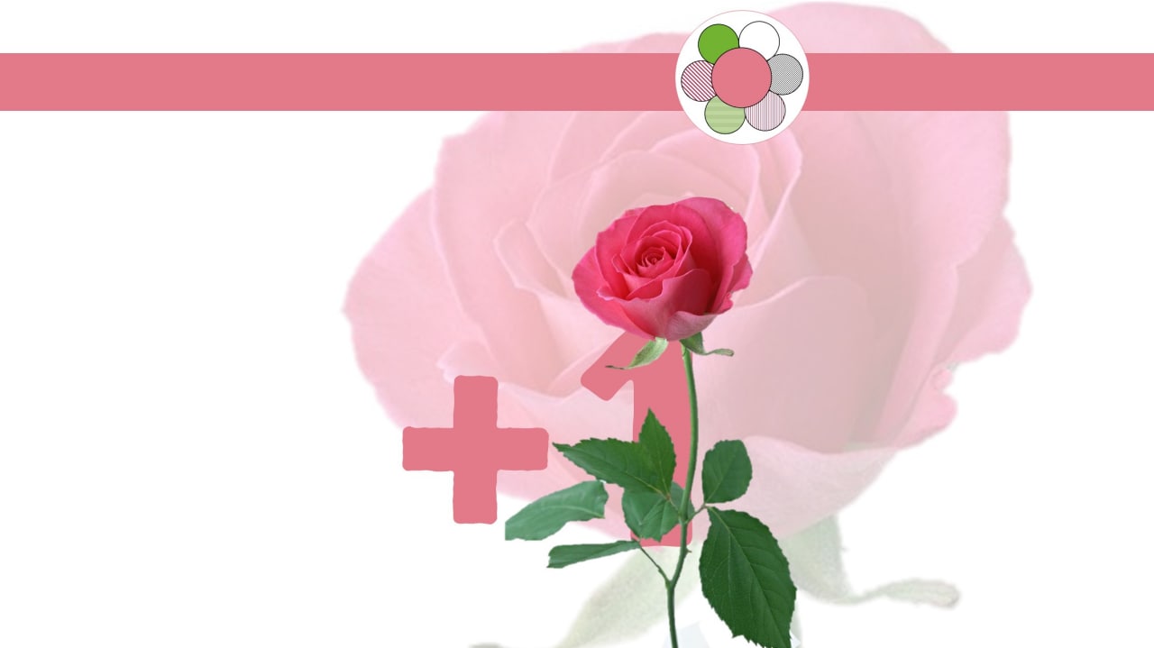 10.10 сегодня день рождения автора image preview