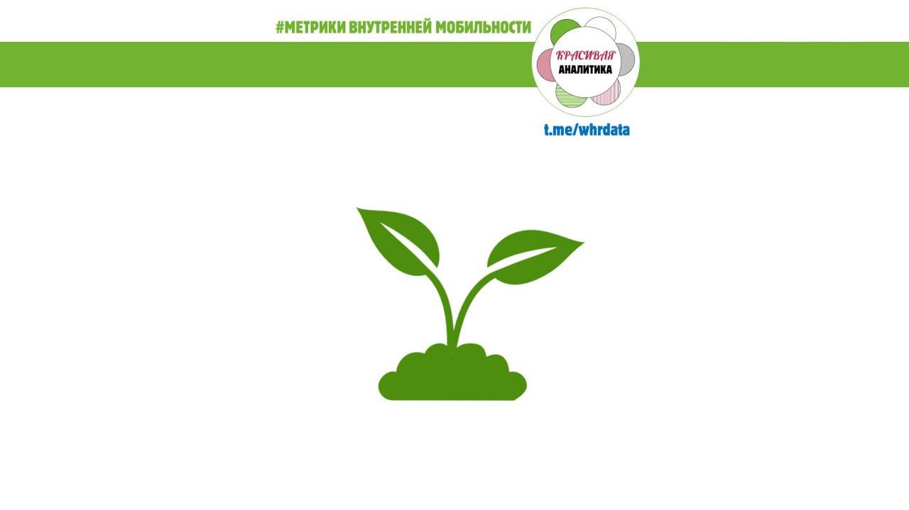 #Метрики внутренней мобильности image preview